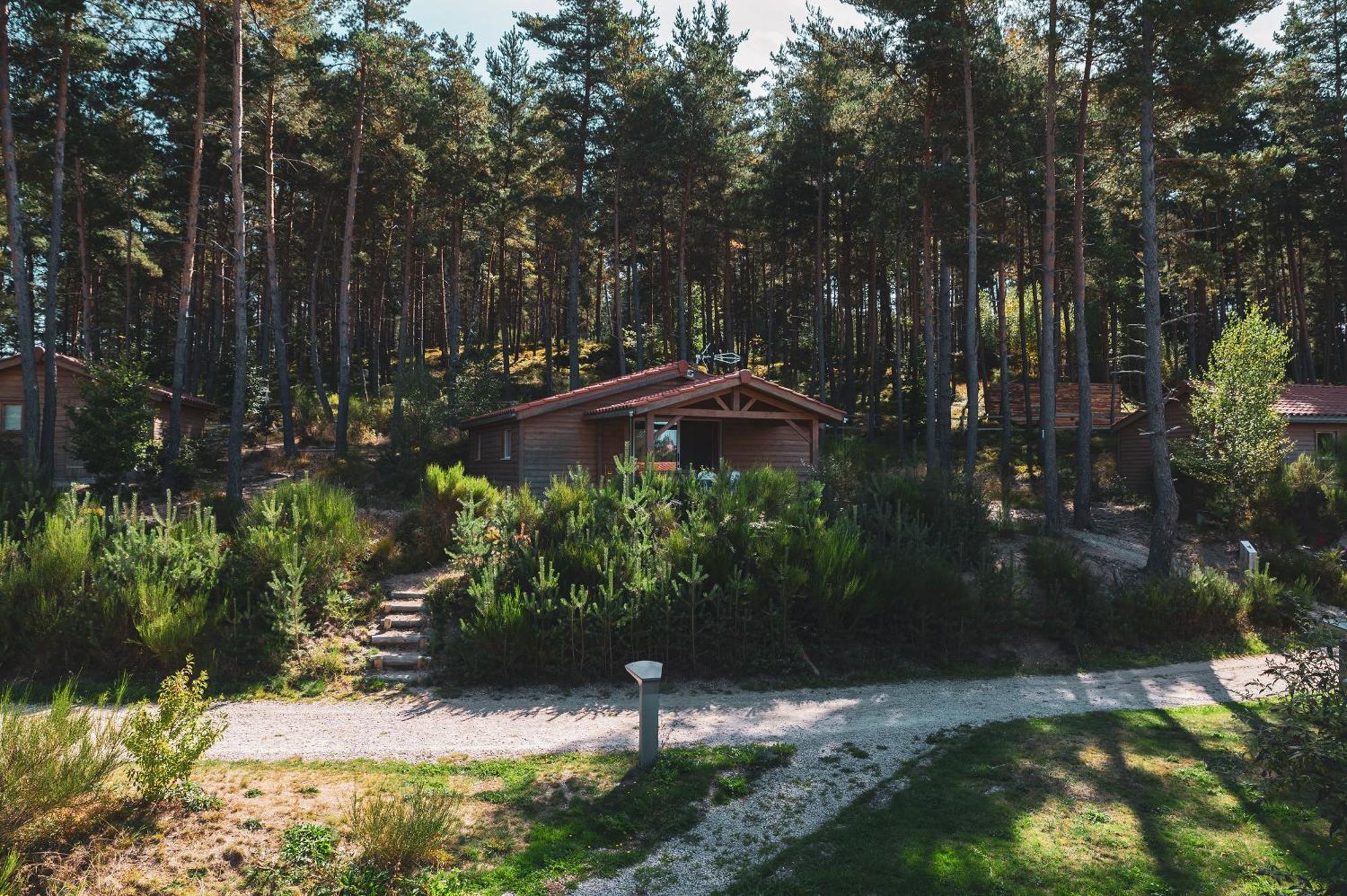 Les Chalets Du Haut-Forez Usson-en-Forez Exteriör bild